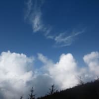 癒しの景色