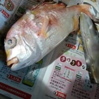 「自分」をアップデートするには