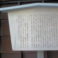 難宗寺のイチョウ