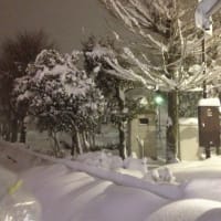 大雪は楽しい(*^^*)