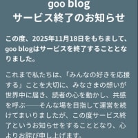 🔶最終投稿🔶