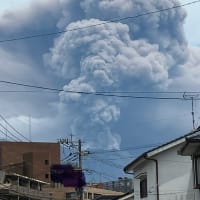 桜島は活発化しています