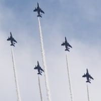 大阪城公園でブルーインパルス