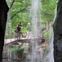 しょうぶ沼公園