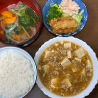 今日の晩ご飯（1441)：麻婆豆腐