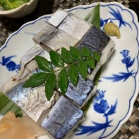 鯖の押し寿司