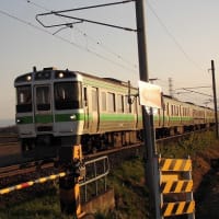「山菜ハンター2025」vol.5