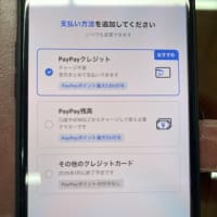 PayPayが面倒くさかった。。