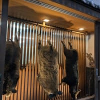 楽屋〜流れ去る者はやがてなつかしき〜楽屋ばなし