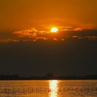 三番瀬海浜公園の夕陽