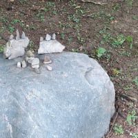 夫への遺言状