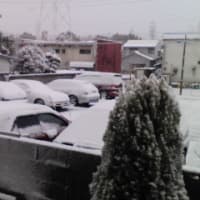 名古屋で5年ぶり大雪