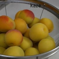 菜園