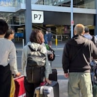 2025 豪州イースターキャンプ参加！