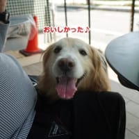 蓮☆4/28病院＆5/3カフェ♪