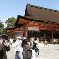 今頃ですが春の記事