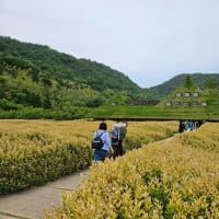 有馬・びわ湖ツアー（３）