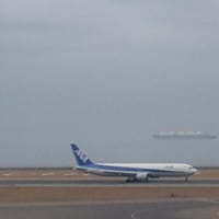 つばさ。