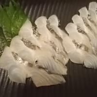 のれそれを黒牛で
