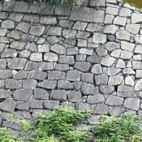 梅雨でもキラキラホテルはテンション上がります！⤴️