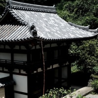 ペットOKのお寺なのに-奈良県明日香村：岡寺