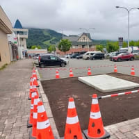 わが町の「エゾリスくるみちゃん」が、戻ってきます（北海道沙流郡日高町　山日高）