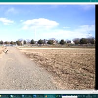 放野の報告です