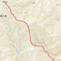 残雪の能郷白山　No370