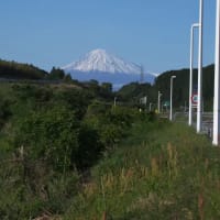 ５月３日　琵琶湖・竹生島観光　そして帰宅