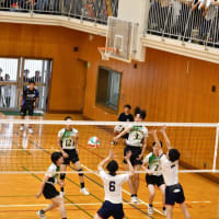 6月15日（日）　インターハイ予選　準々決勝
