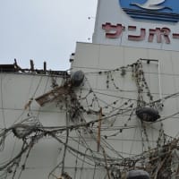 あれから13年　忘れてはならない東日本大震災　南三陸町写真集