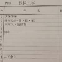 庭木の伐採