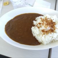 千葉県立美術館