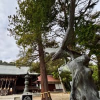 -七五三　御祈祷と写真撮影　一緒に出来る＊写真撮影＊仙台市泉区向陽台の一軒家貸切フォトスタジオ＊富谷市-