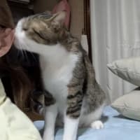 クリンへの想いは尽きなくて・・・309