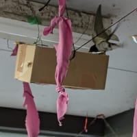 なんとか子育て継続