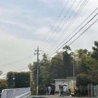 季節の味