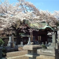 『底が抜けた国』日本 その② 原因は "和をもって尊しとなす" で聖徳太子で17条の憲法 !　