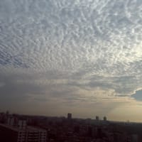 朝の雲