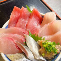 本日の地魚はワラサ、シイラ、キハダマグロからのスタートです！