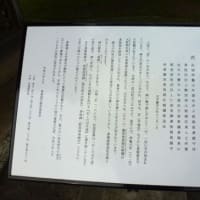 多賀城の見学