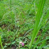 秋を感じた瞬間