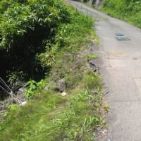 地域力の強化、維持