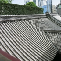 築地・銀座界隈散策