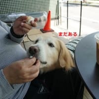 蓮☆4/28病院＆5/3カフェ♪