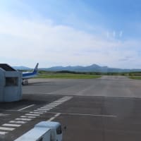 半端じゃない藪こぎ　撤退　羅臼湖へ