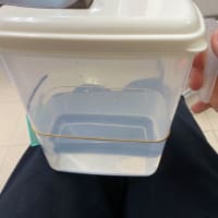 大腸内視鏡検査　＃４