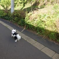 梅雨はどこへ
