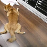 7月2日　引越し大詰め！？　まだまだ言い訳しながらやってます☆彡　更新しました～～♬