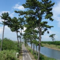予告編：グループわらじ　第615回徒歩定例会「みちのく潮風トレイルⅥ　美田園駅～閖上～荒浜～地下鉄荒井駅」
